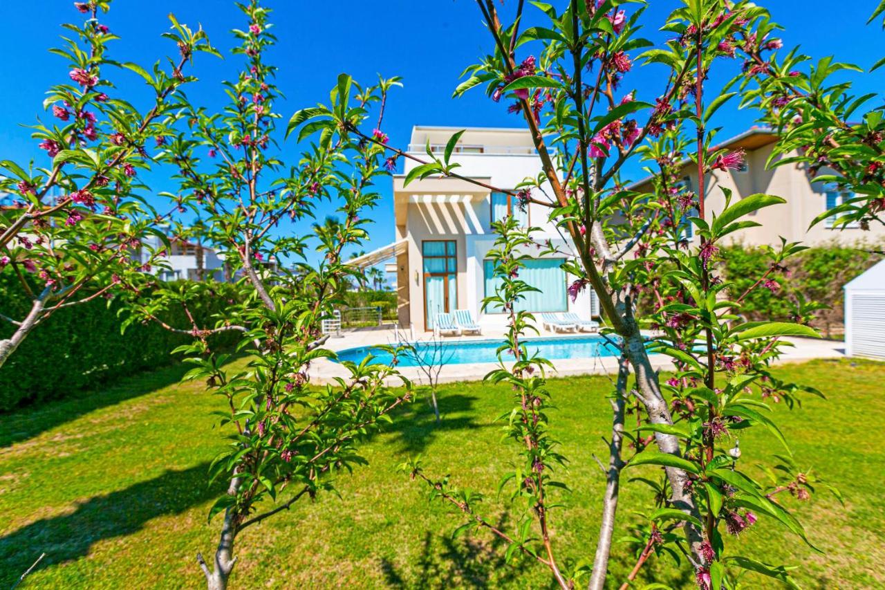 Paradise Town Villa Daisy Belek Exterior photo